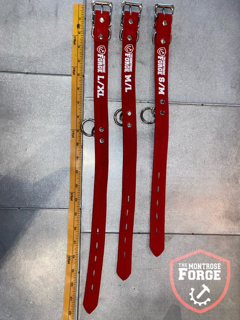 Locking Buckle Collar - Metallic